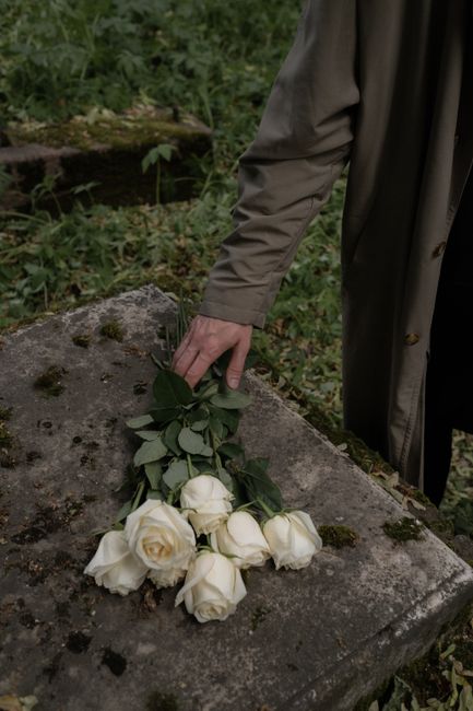 A person wearing a gray coat is placing a bouquet of six fresh white roses with green leaves onto a weathered stone surface outdoors, surrounded by greenery and moss. The roses have tightly closed bud